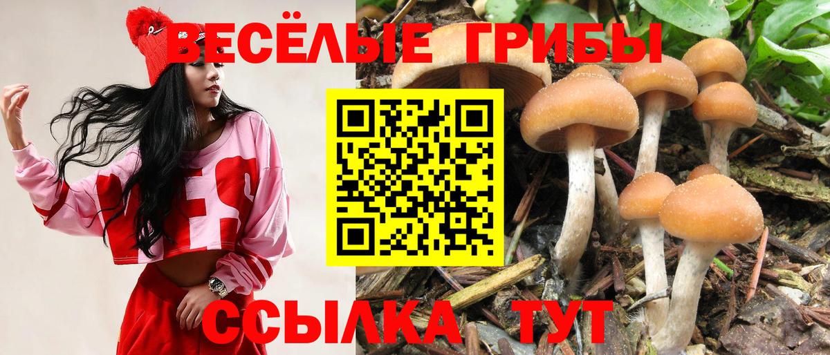Псилоцибиновые грибы GOLDEN TEACHER Костомукша